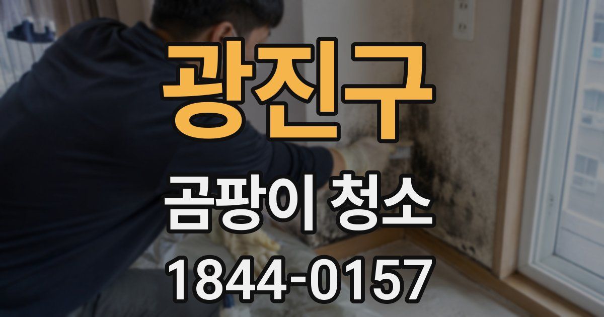 광진구 곰팡이 청소