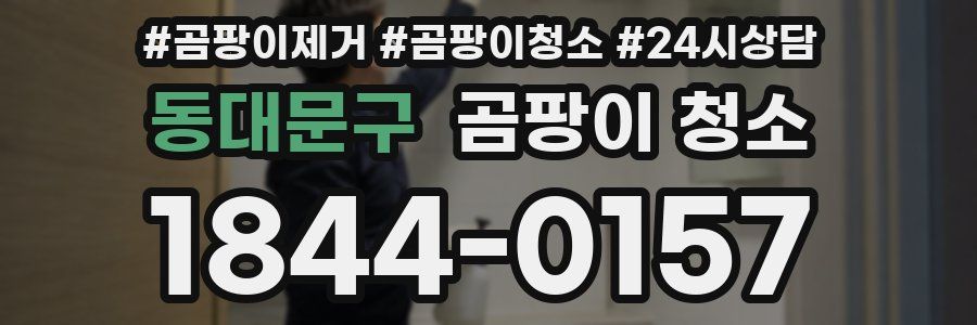 동대문구 곰팡이 청소