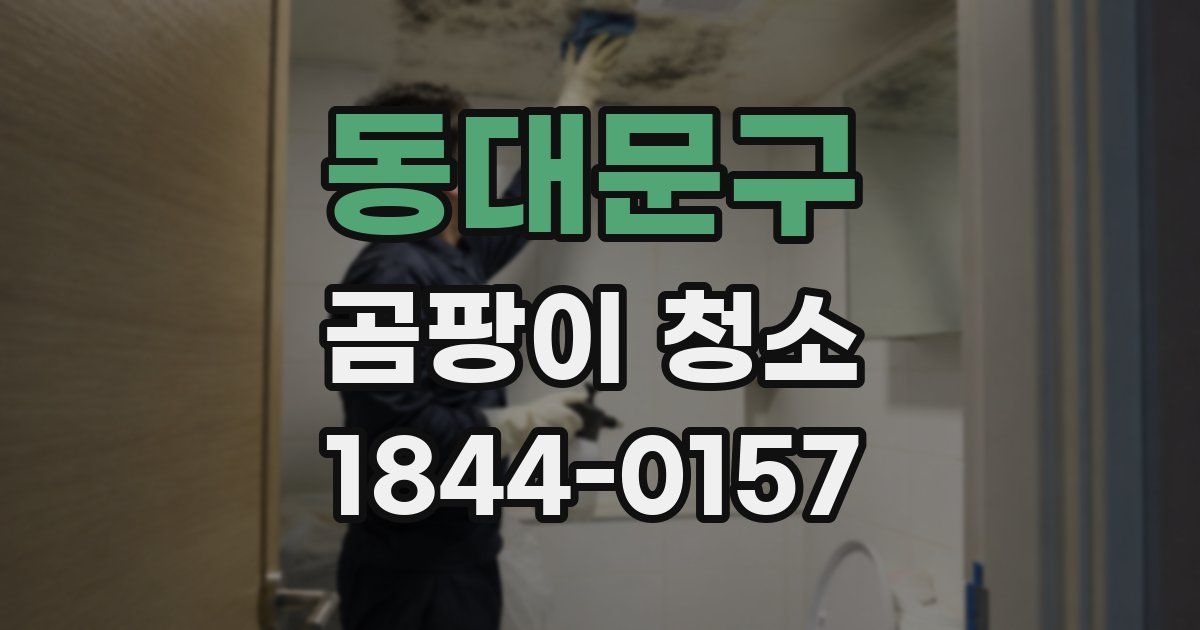 동대문구 곰팡이 청소