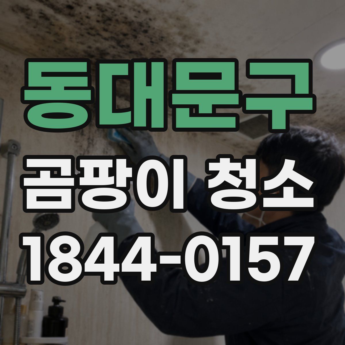 동대문구 곰팡이 청소
