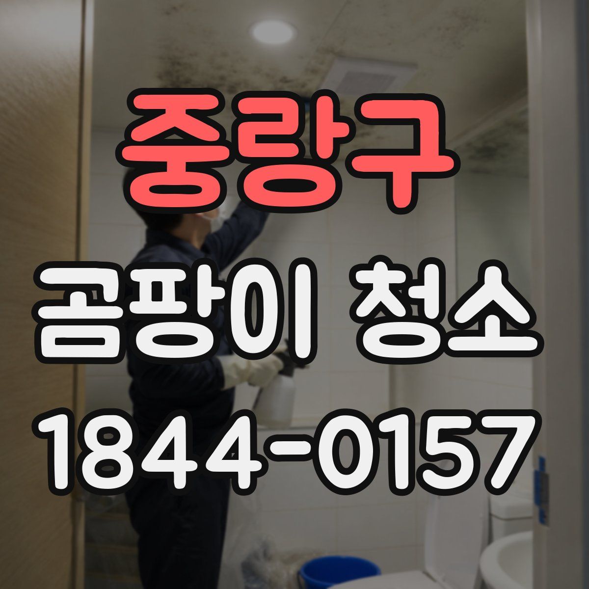 중랑구 곰팡이 청소