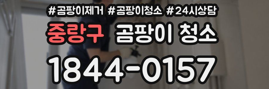 중랑구 곰팡이 청소
