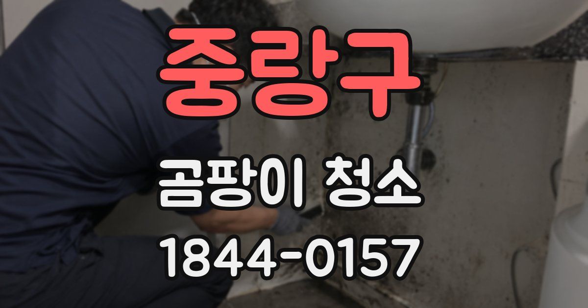 중랑구 곰팡이 청소