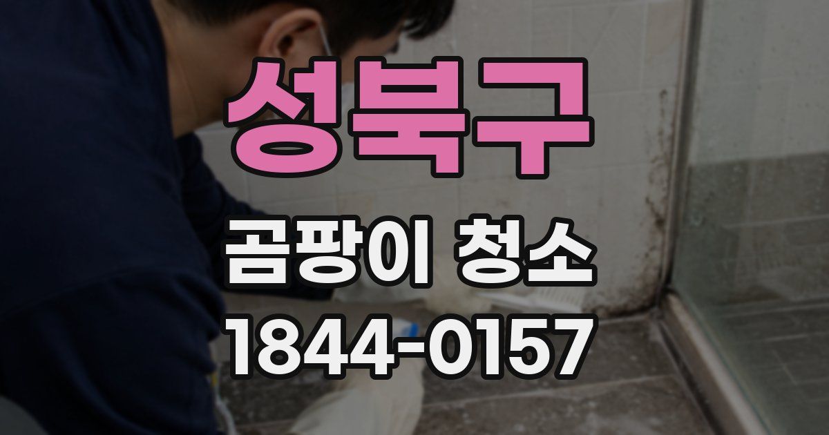 성북구 곰팡이 청소