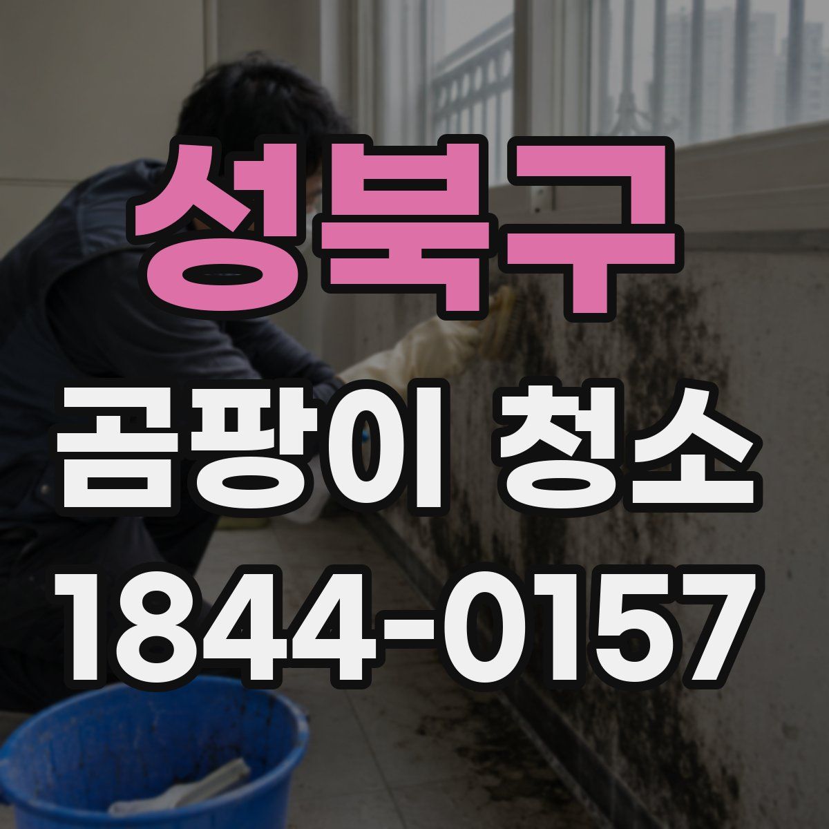 성북구 곰팡이 청소