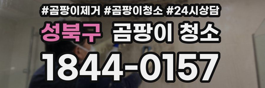 성북구 곰팡이 청소