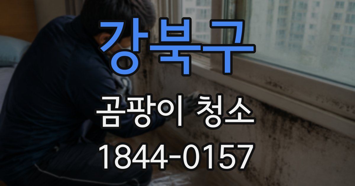 강북구 곰팡이 청소