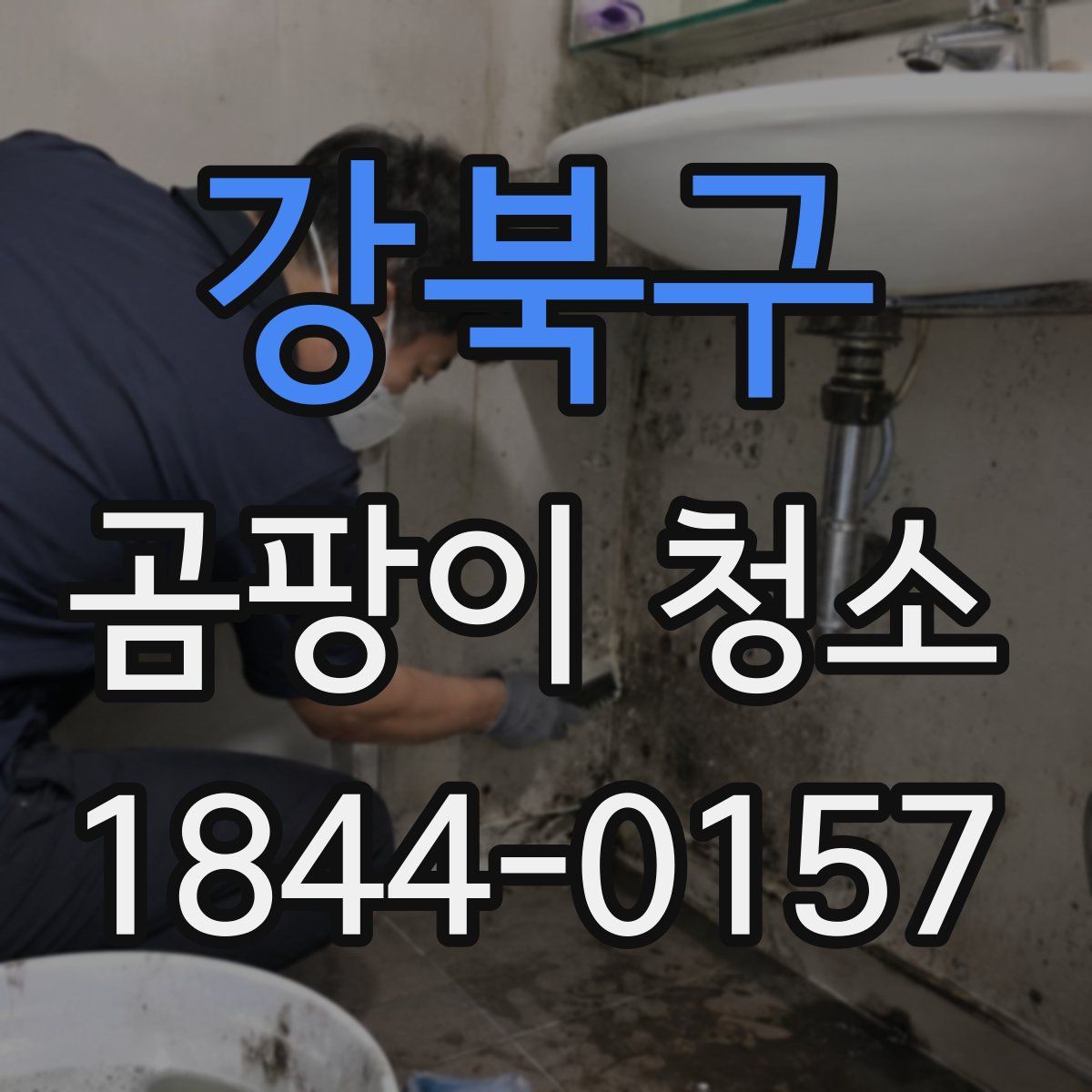 강북구 곰팡이 청소