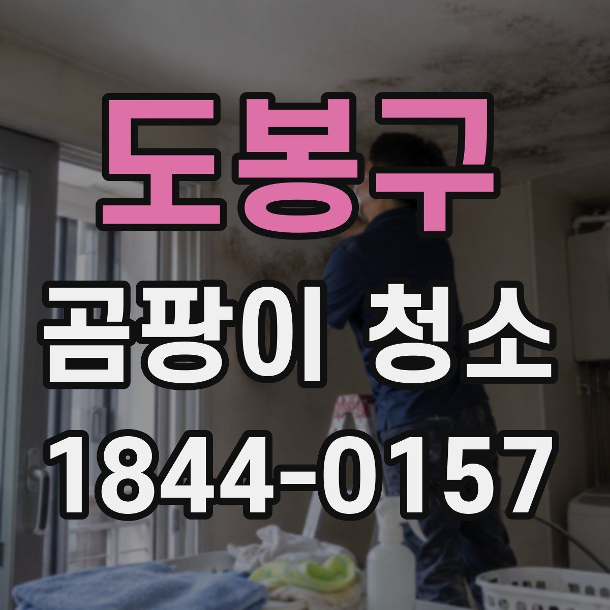 도봉구 곰팡이 청소
