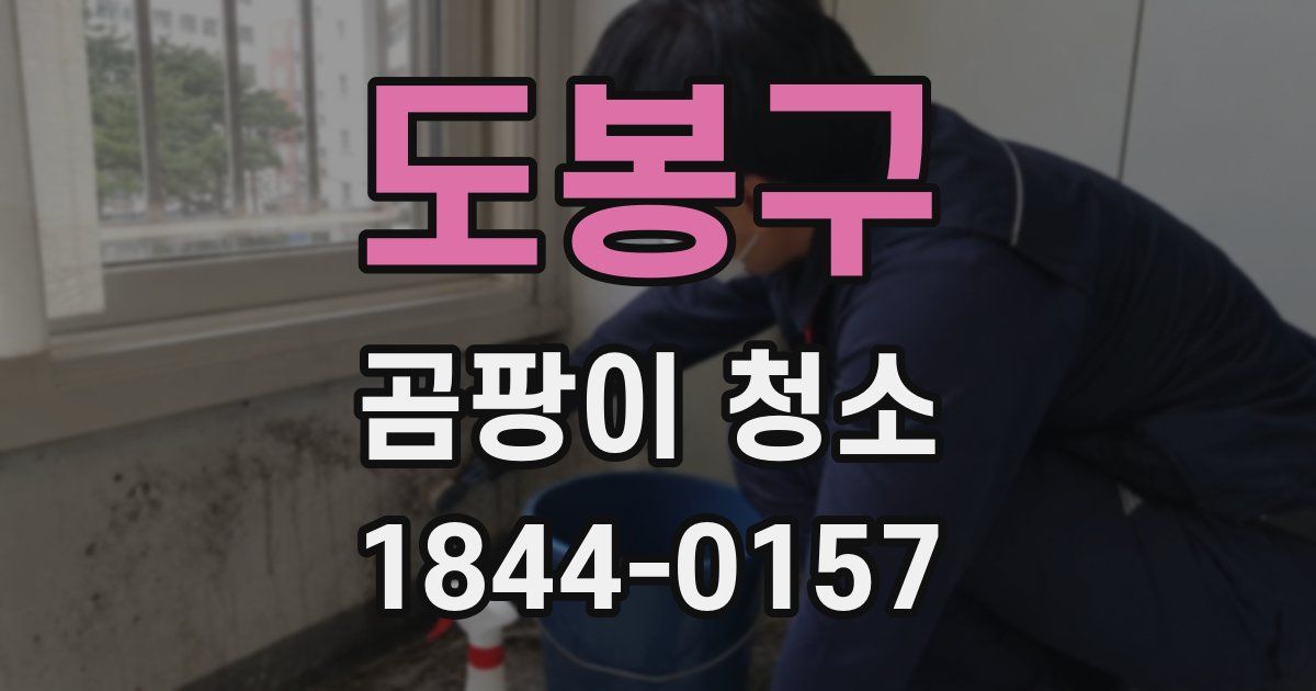 도봉구 곰팡이 청소