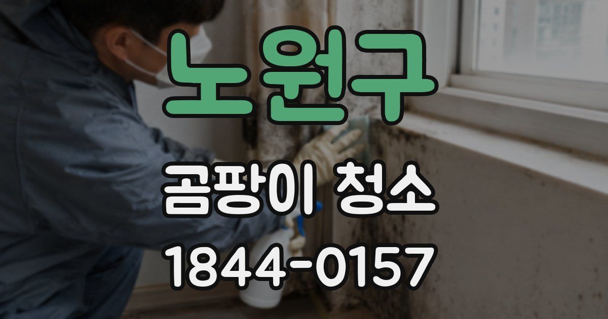 노원구 곰팡이 청소
