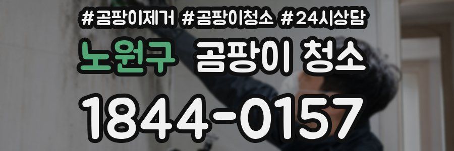 노원구 곰팡이 청소