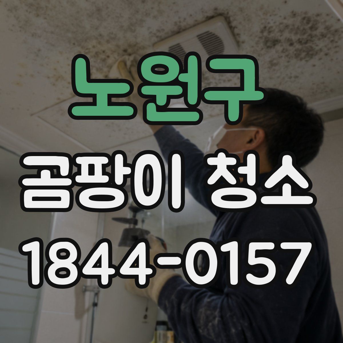 노원구 곰팡이 청소