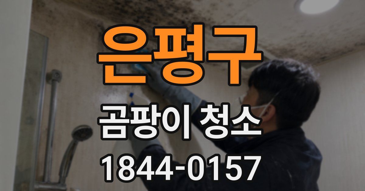 은평구 곰팡이 청소