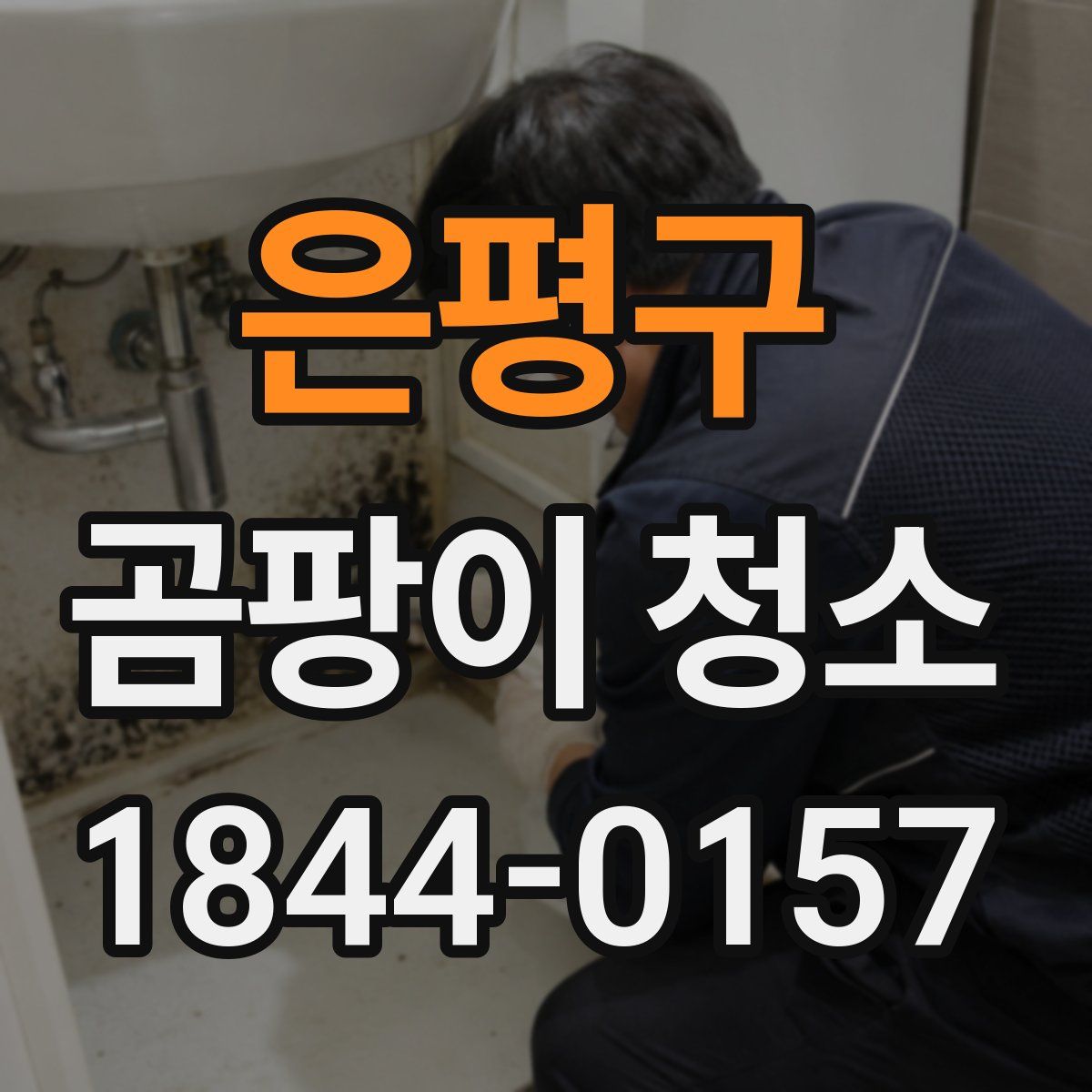 은평구 곰팡이 청소
