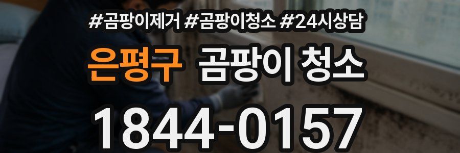 은평구 곰팡이 청소