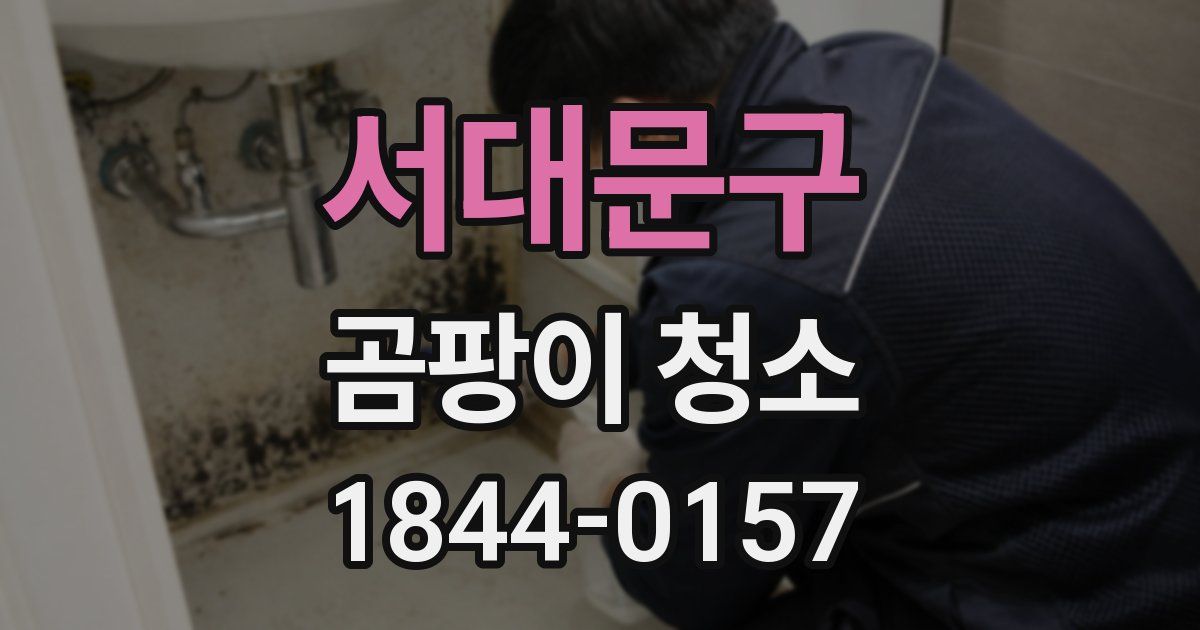 서대문구 곰팡이 청소