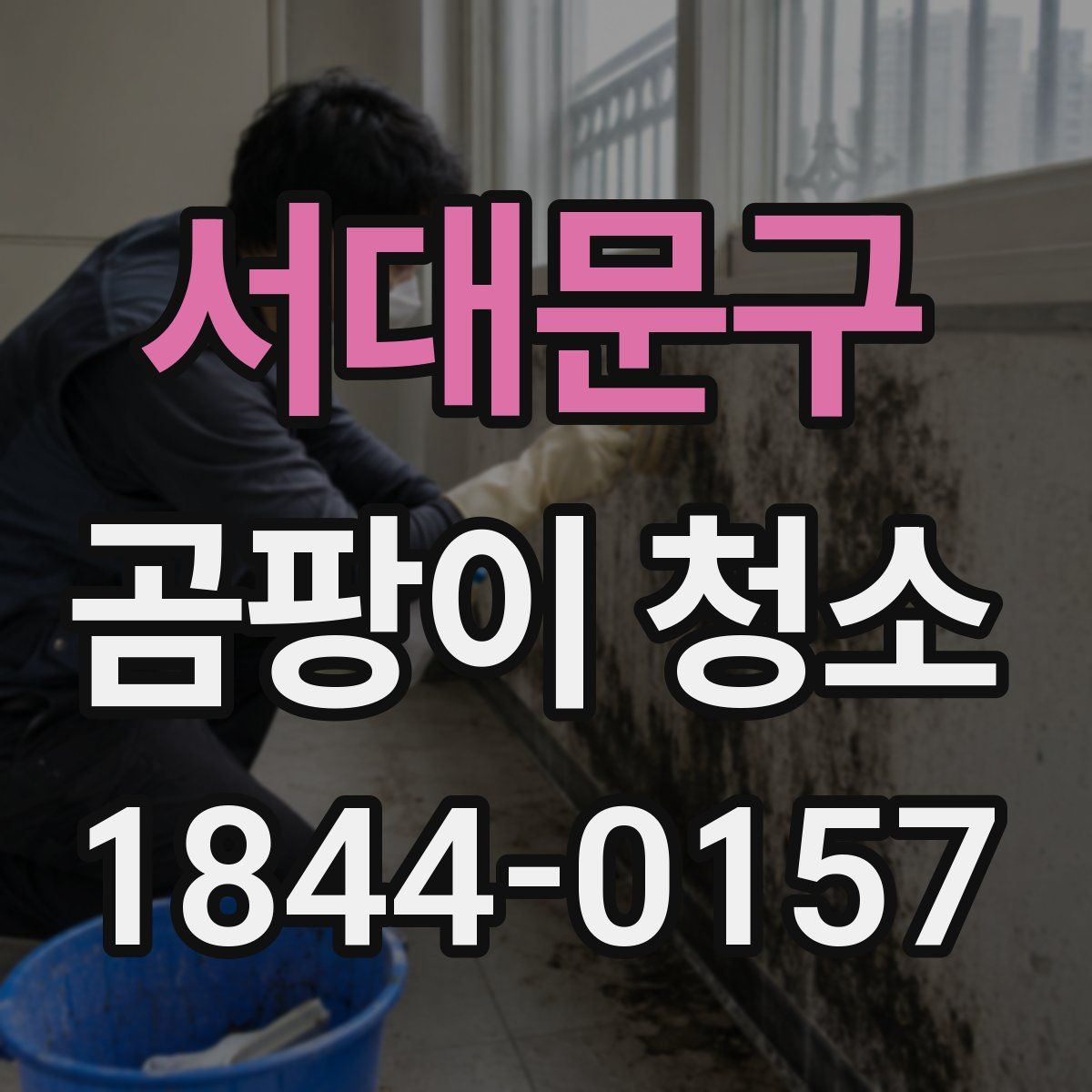 서대문구 곰팡이 청소