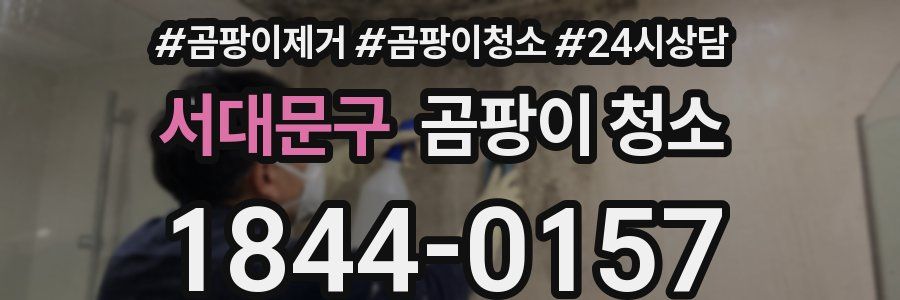 서대문구 곰팡이 청소