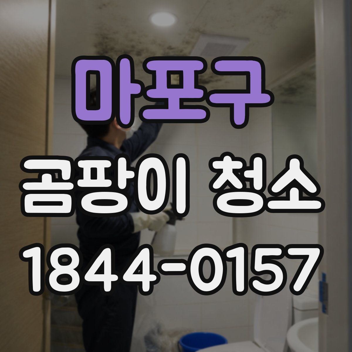 마포구 곰팡이 청소