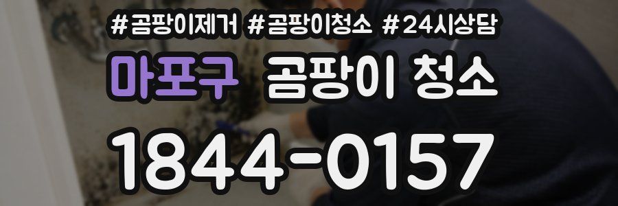 마포구 곰팡이 청소