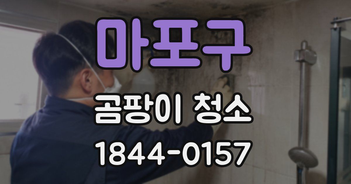 마포구 곰팡이 청소