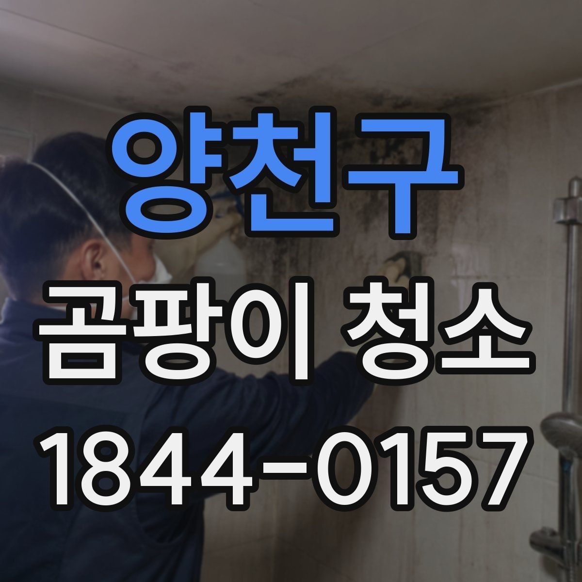 양천구 곰팡이 청소 환기 상태가 부족한 방의 점검 포인트
