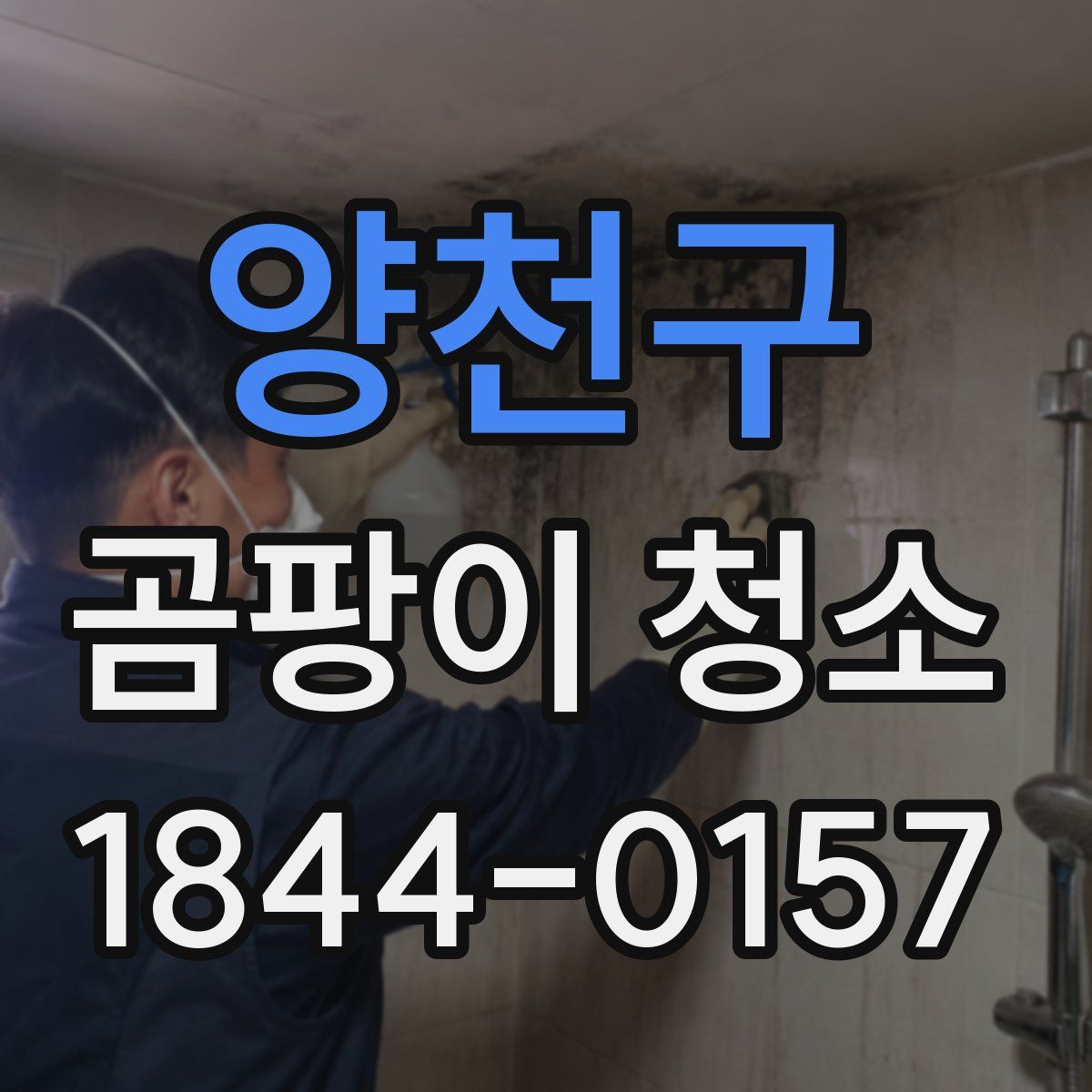 양천구 곰팡이 청소