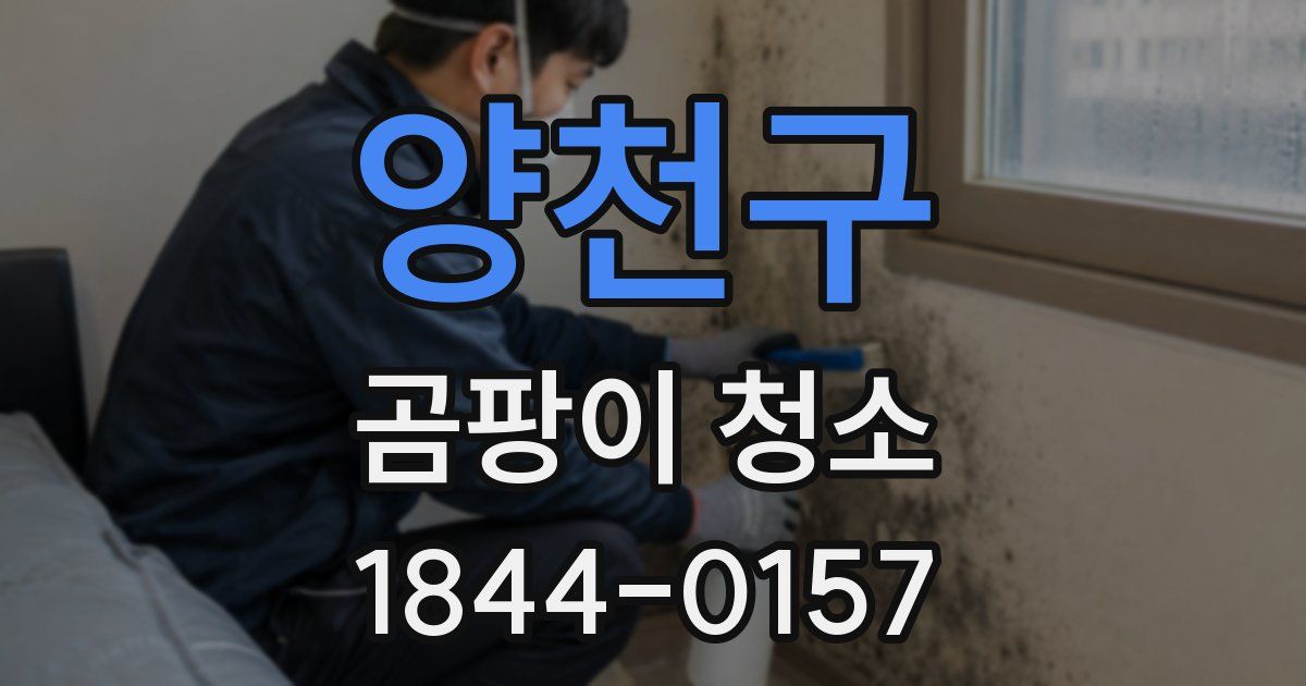 양천구 곰팡이 청소