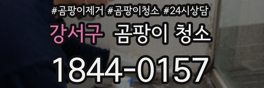 강서구 곰팡이 청소