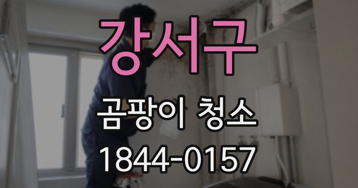 강서구 곰팡이 청소