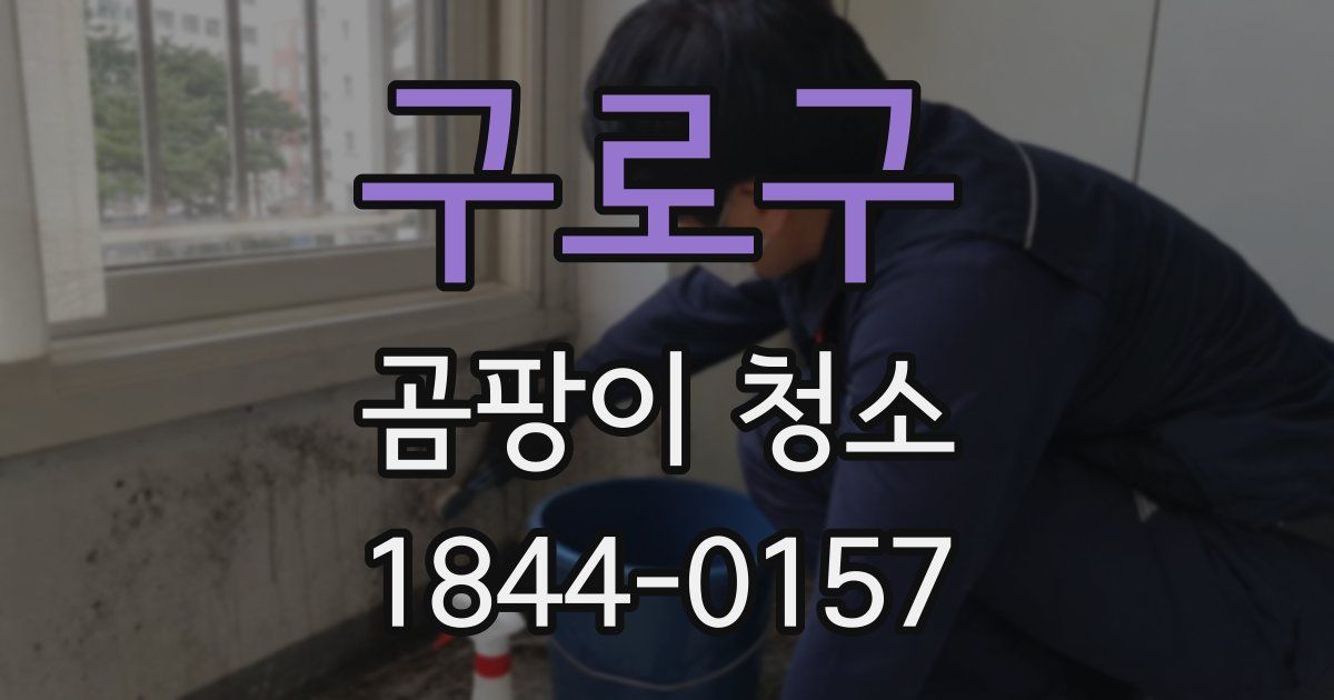 구로구 곰팡이 청소