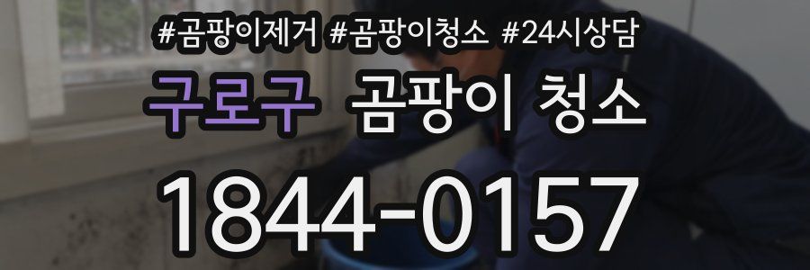 구로구 곰팡이 청소
