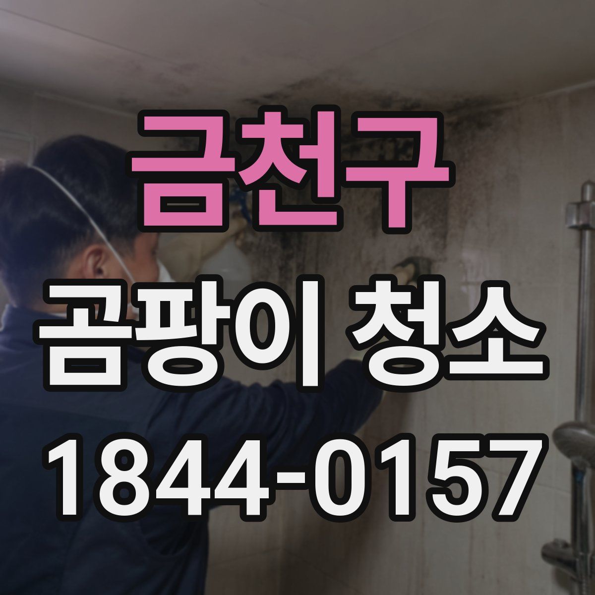 금천구 곰팡이 청소