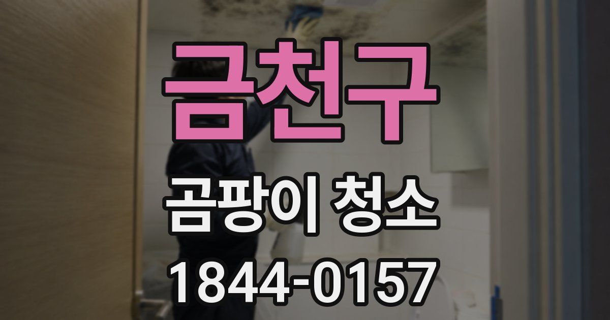 금천구 곰팡이 청소