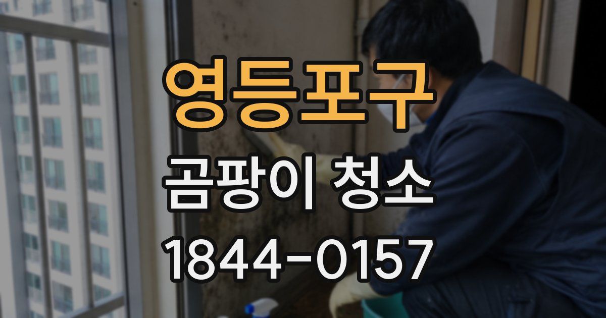 영등포구 곰팡이 청소