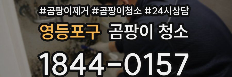 영등포구 곰팡이 청소