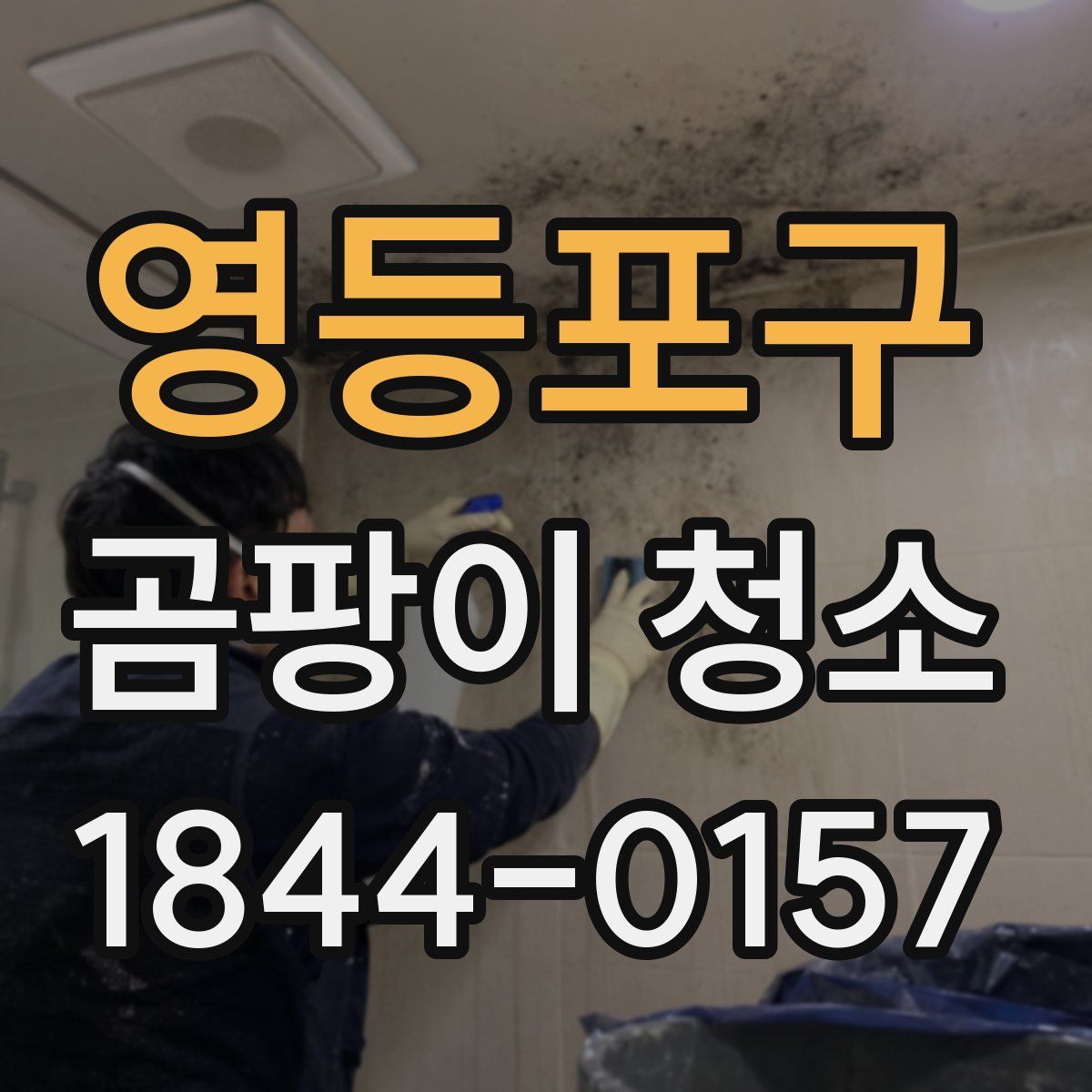 영등포구 곰팡이 청소