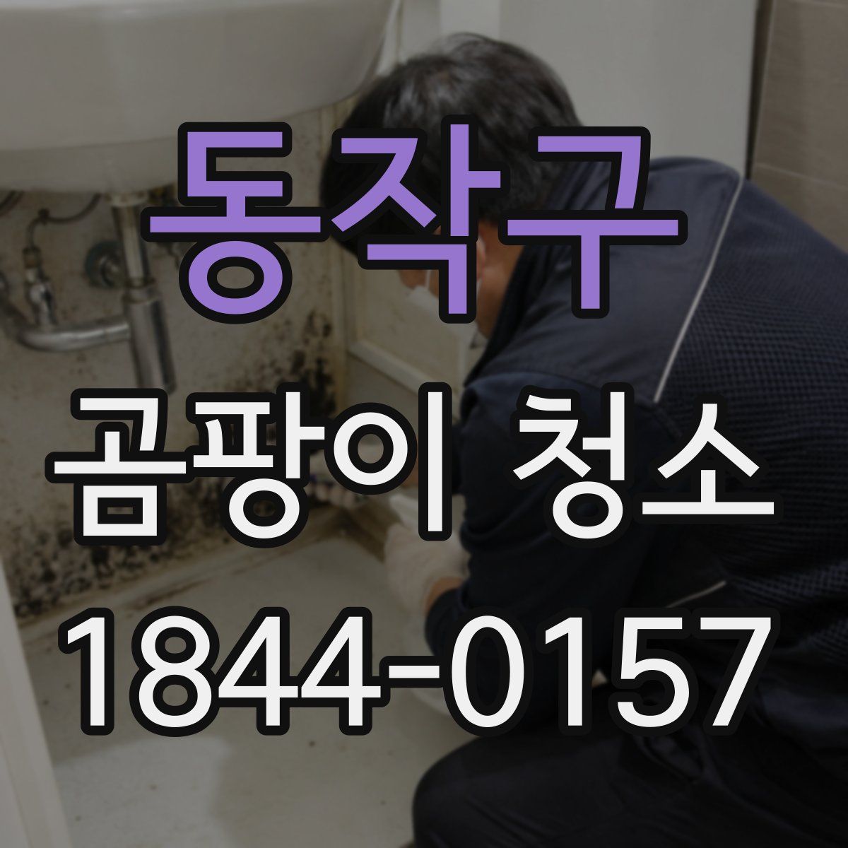 동작구 곰팡이 청소