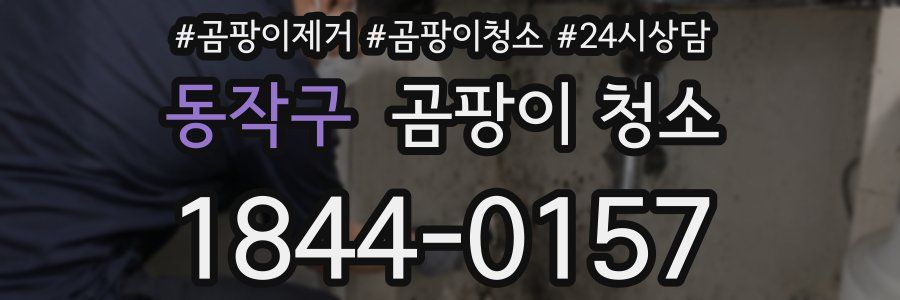 동작구 곰팡이 청소