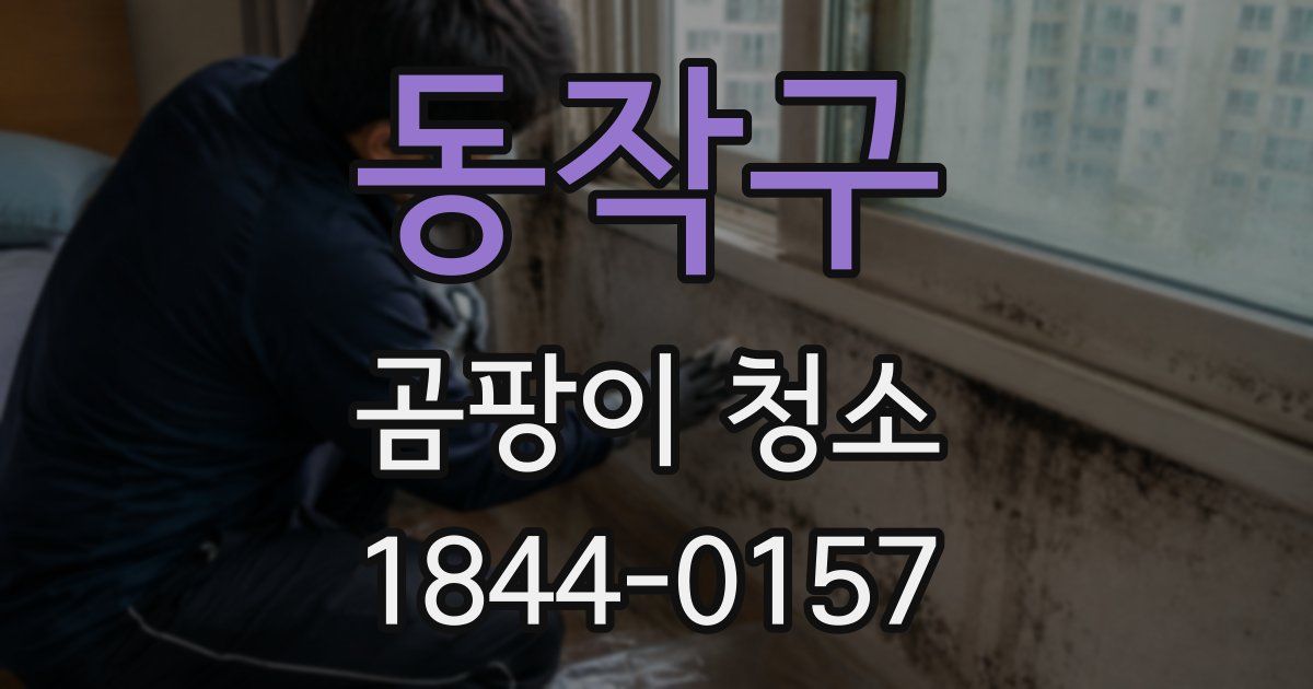 동작구 곰팡이 청소