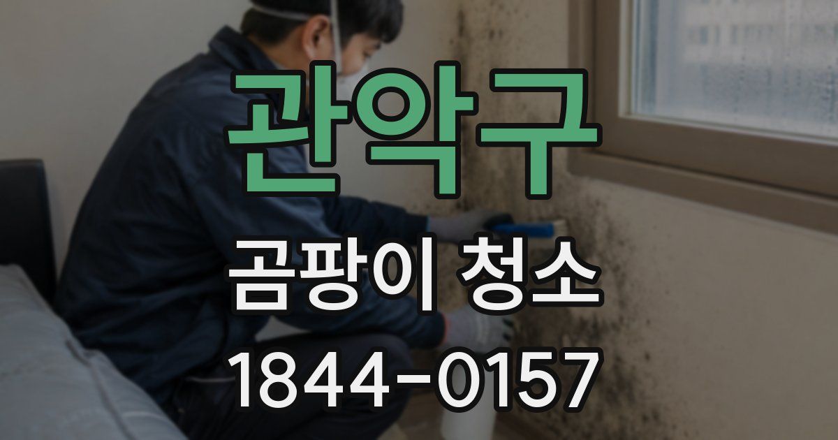 관악구 곰팡이 청소