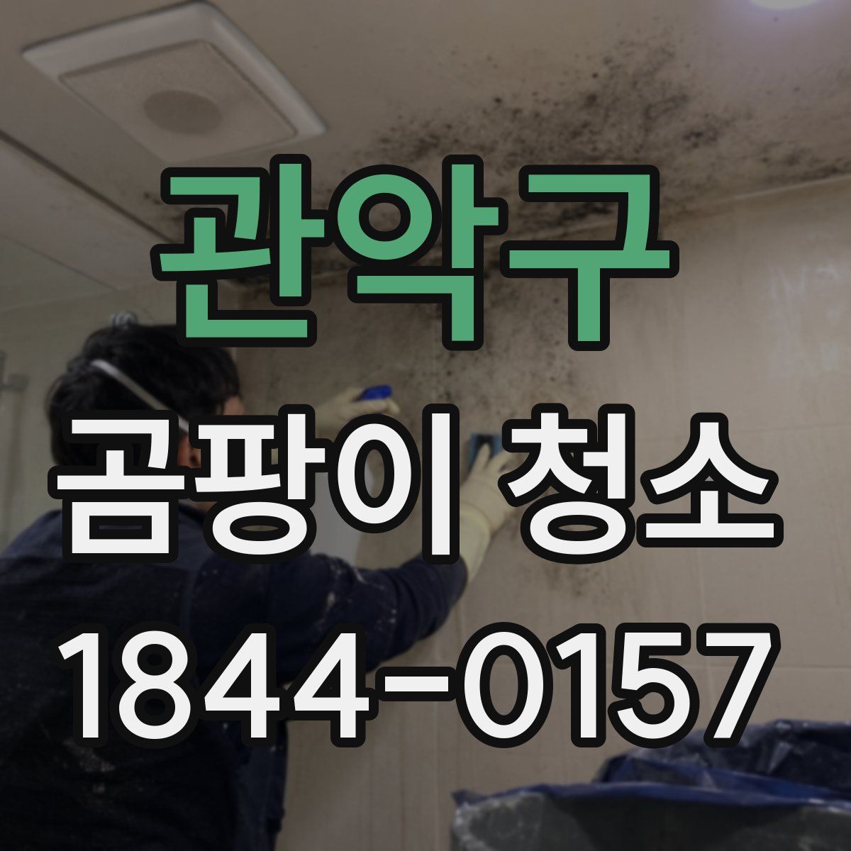 관악구 곰팡이 청소