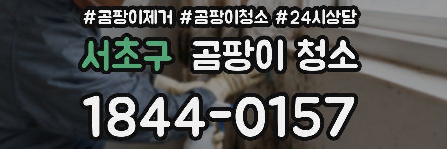 서초구 곰팡이 청소