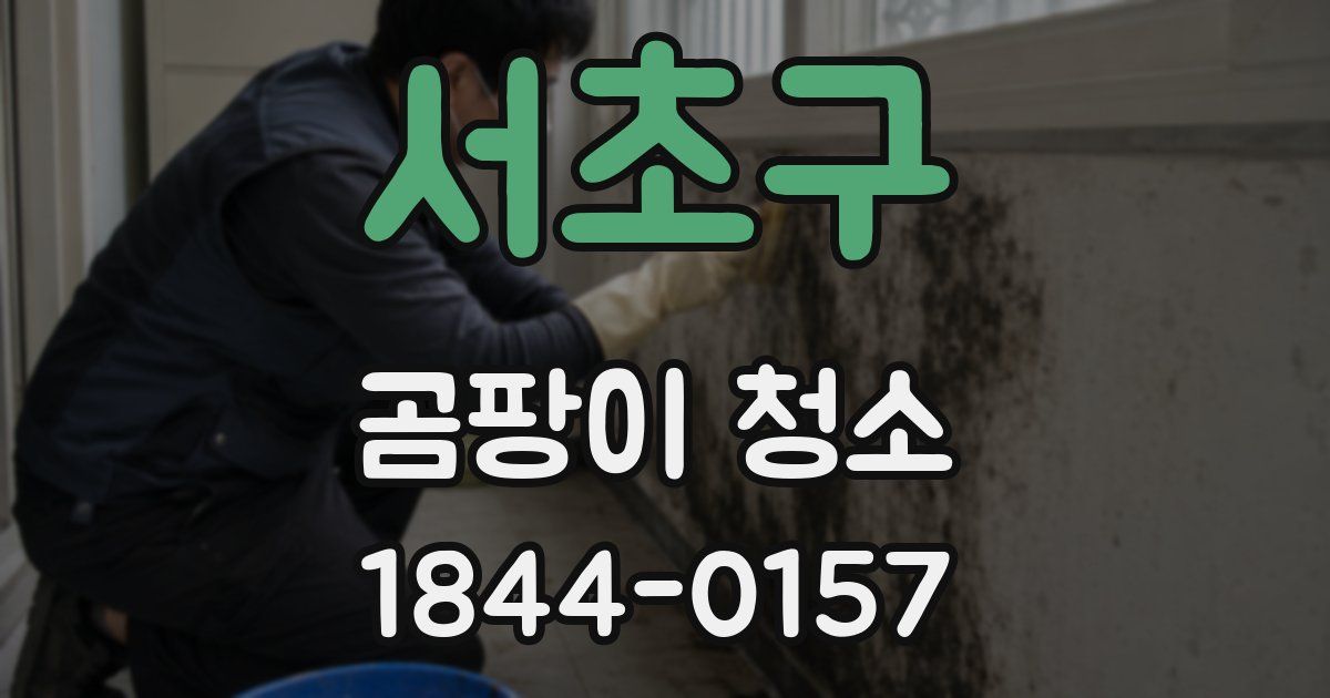 서초구 곰팡이 청소