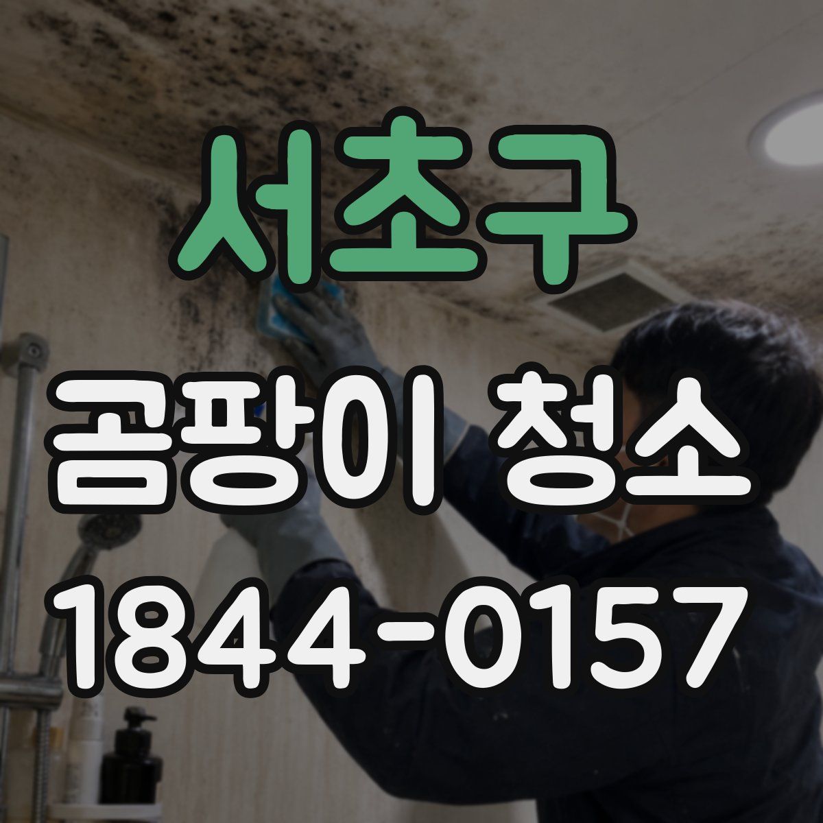 서초구 곰팡이 청소