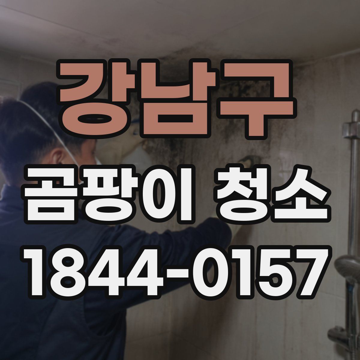 강남구 곰팡이 청소