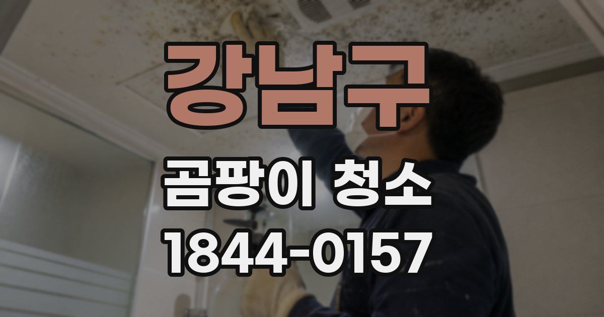 강남구 곰팡이 청소