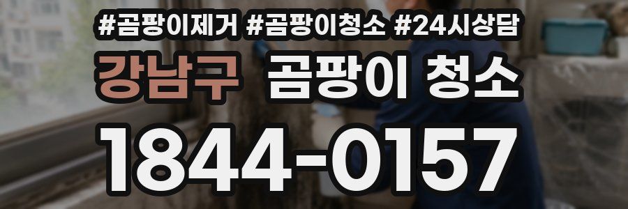 강남구 곰팡이 청소