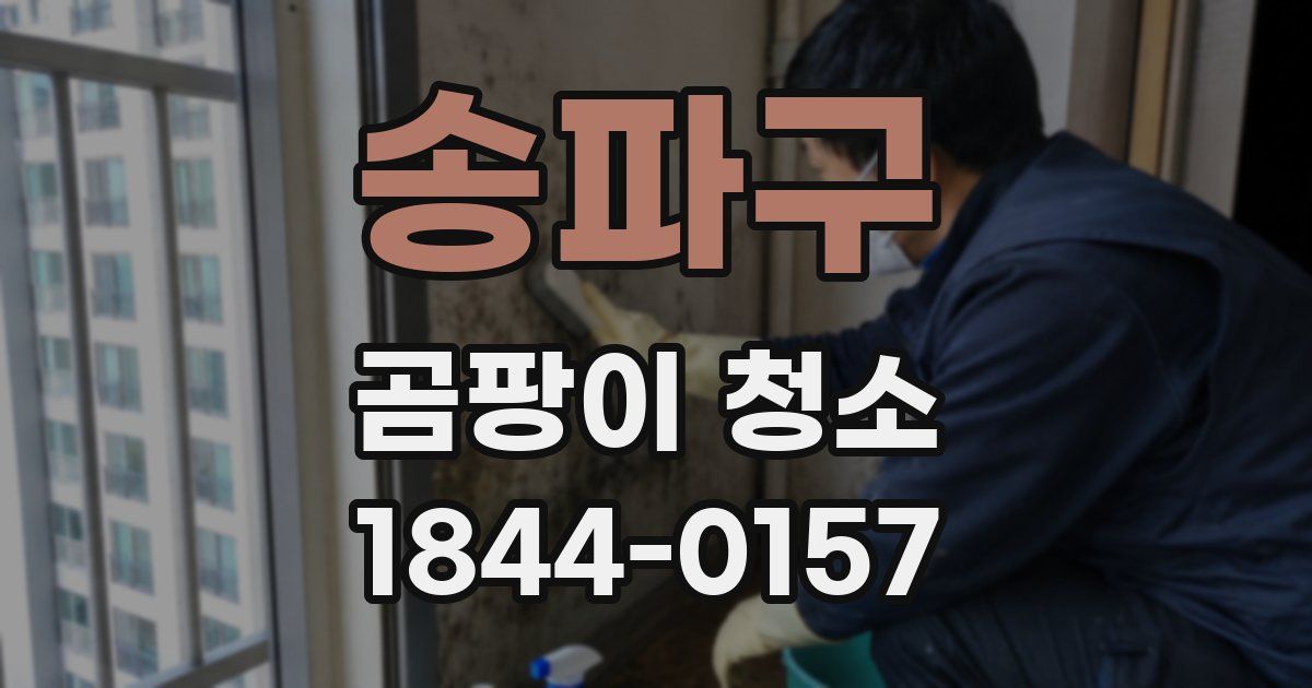 송파구 곰팡이 청소